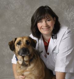 staff profile
