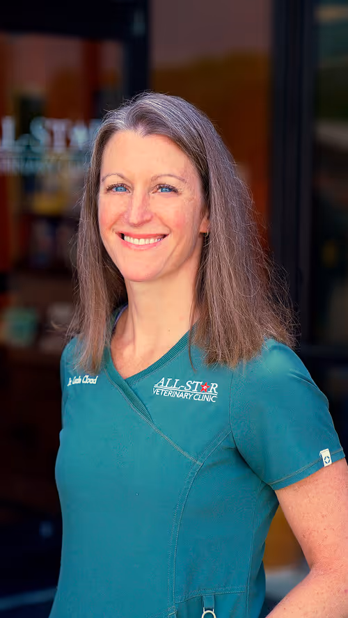 staff profile