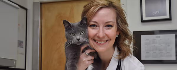 staff profile
