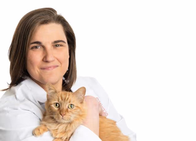 staff profile