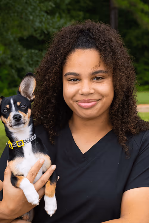 staff profile