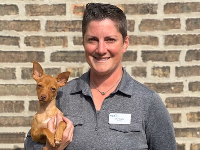 staff profile