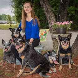 Healing Hands Animal Hospital - Pet services facility