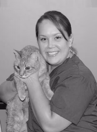 staff profile