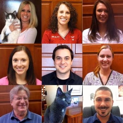 staff profile