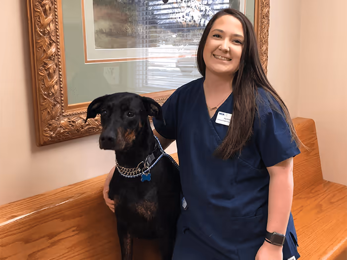 staff profile