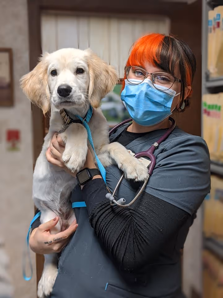 staff profile