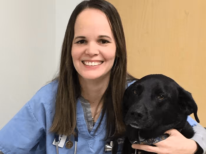 staff profile