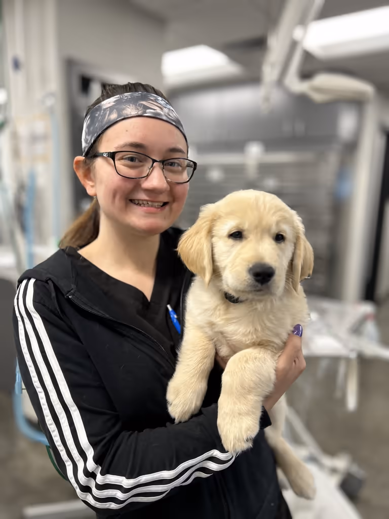 staff profile