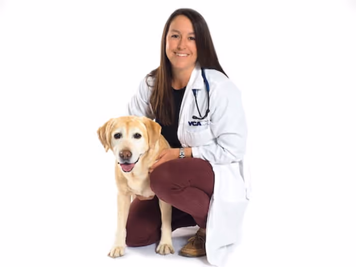 staff profile