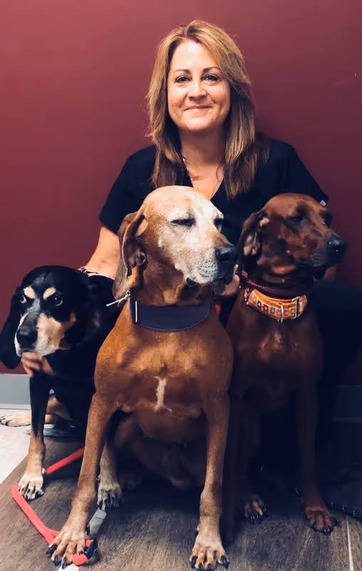 staff profile