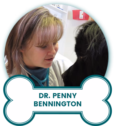 staff profile