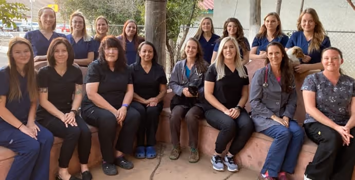staff profile