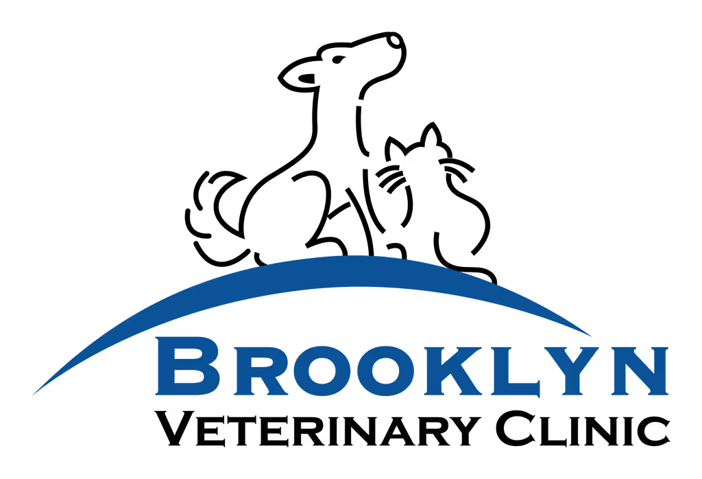 staff profile
