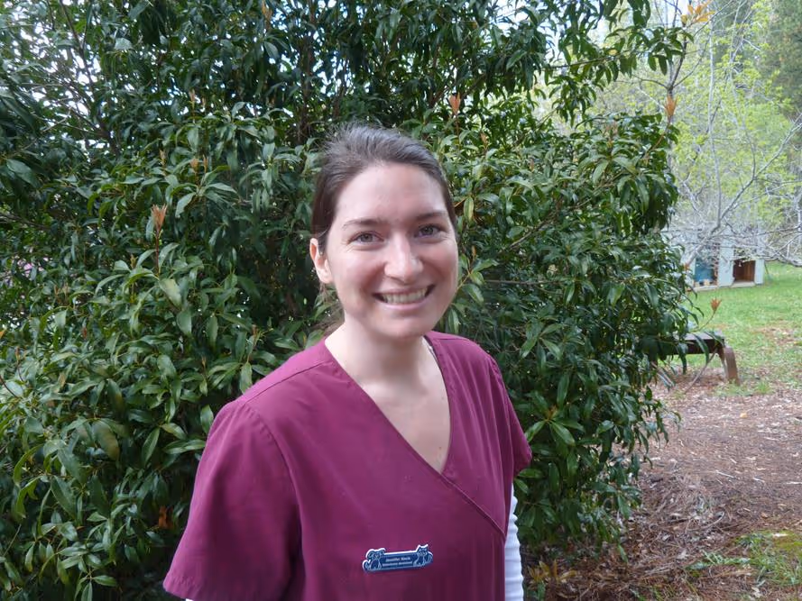 staff profile
