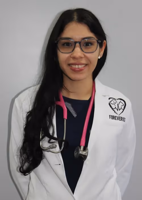 staff profile