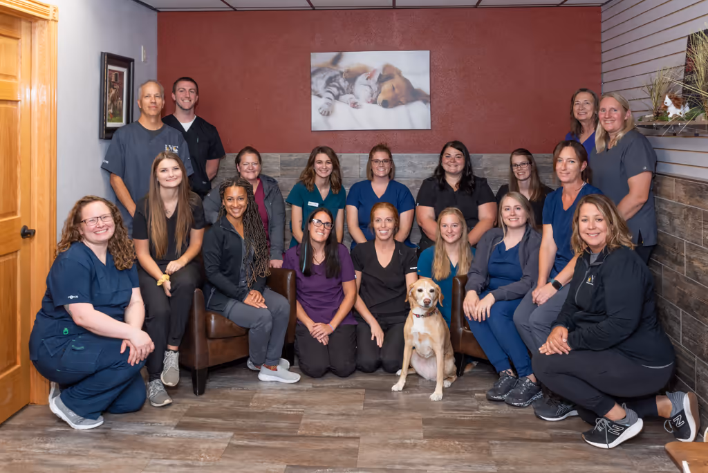 staff profile