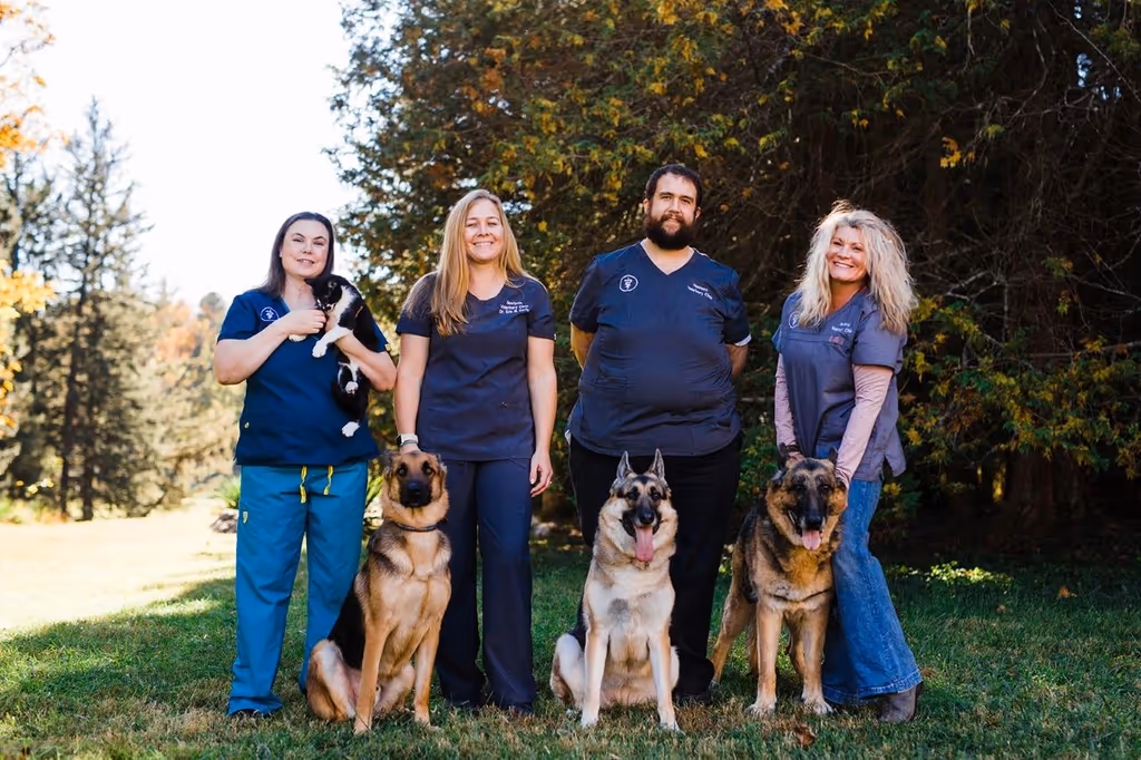 staff profile