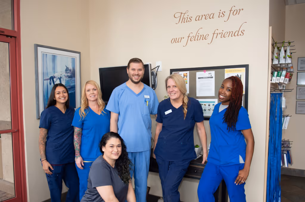 staff profile
