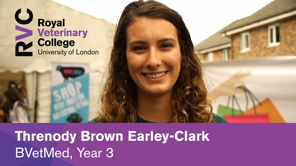 staff profile