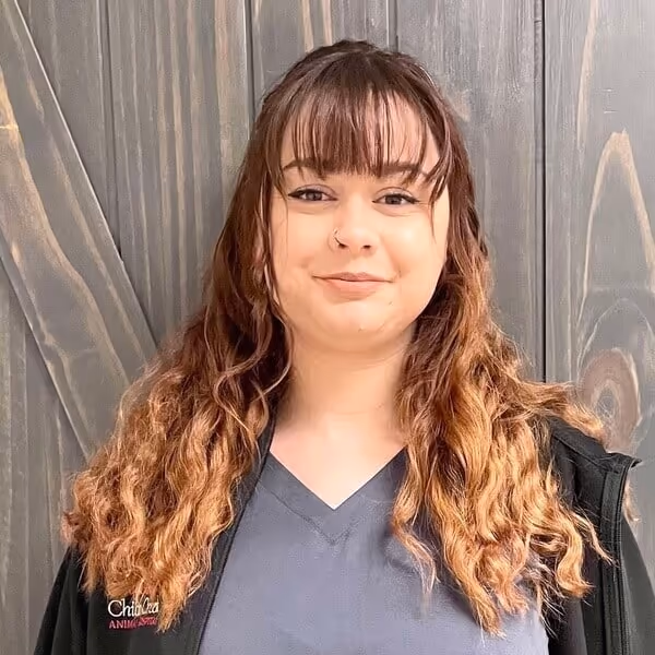 staff profile