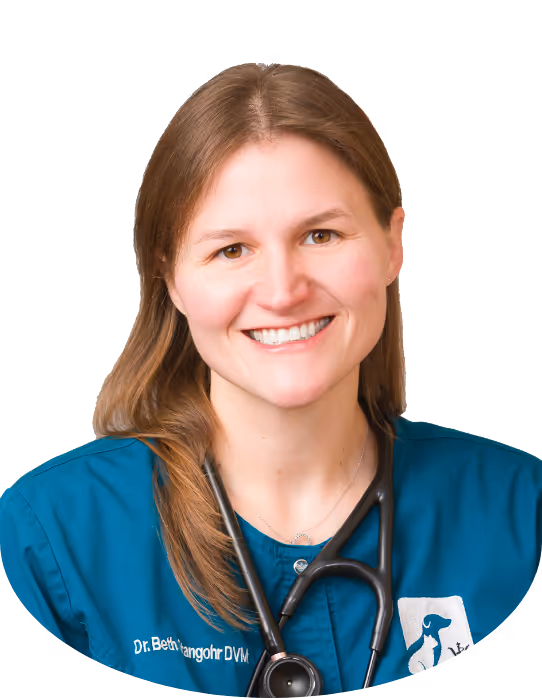 staff profile