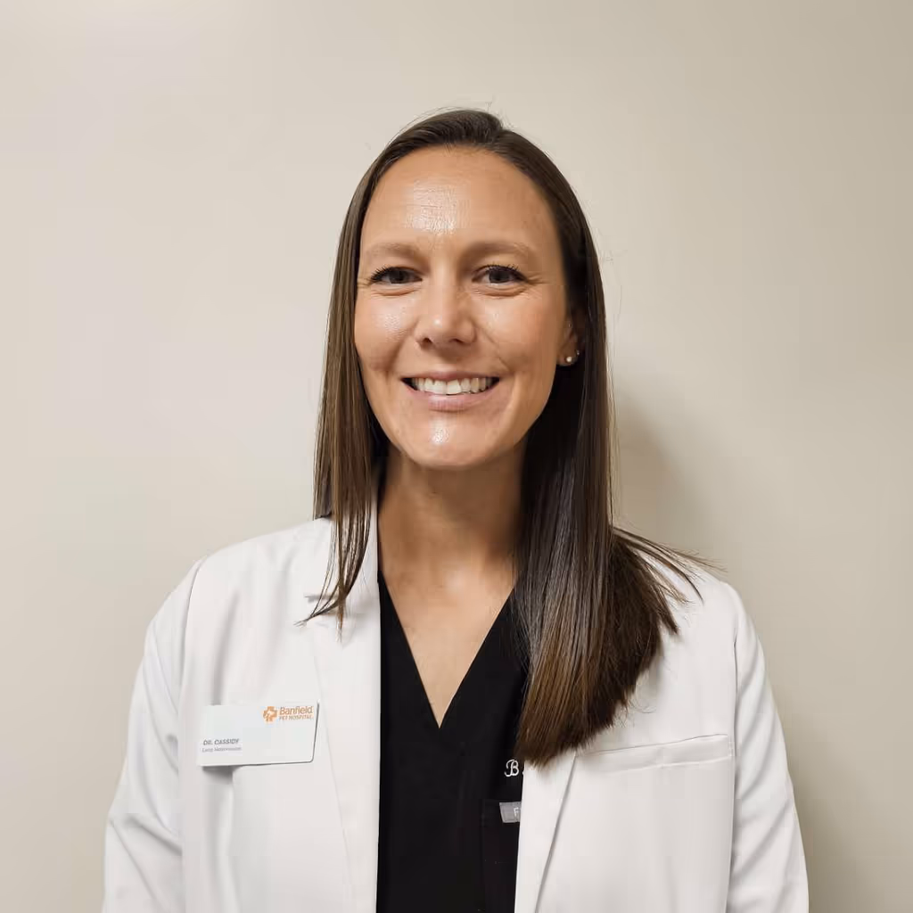 staff profile