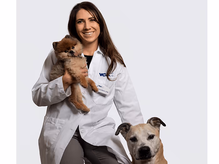 staff profile