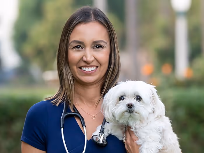 staff profile