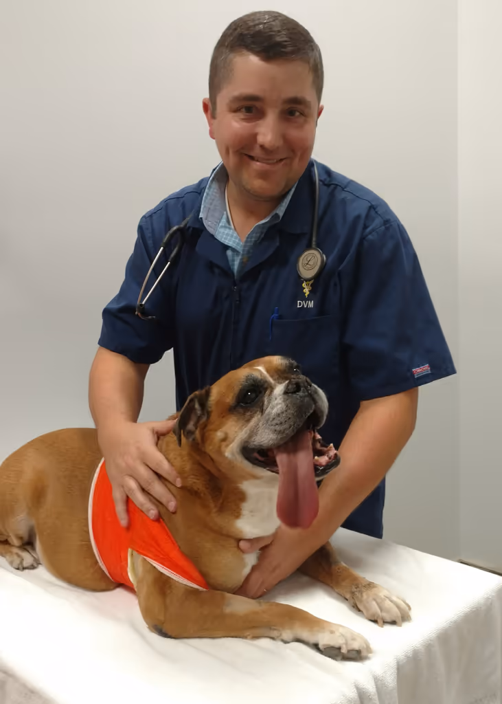 staff profile