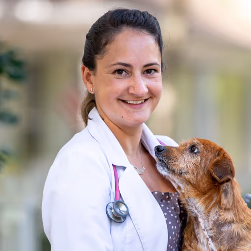 staff profile