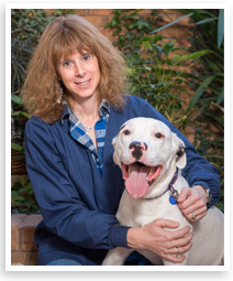 staff profile