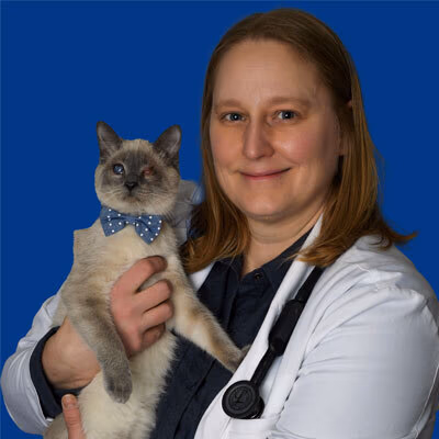 staff profile