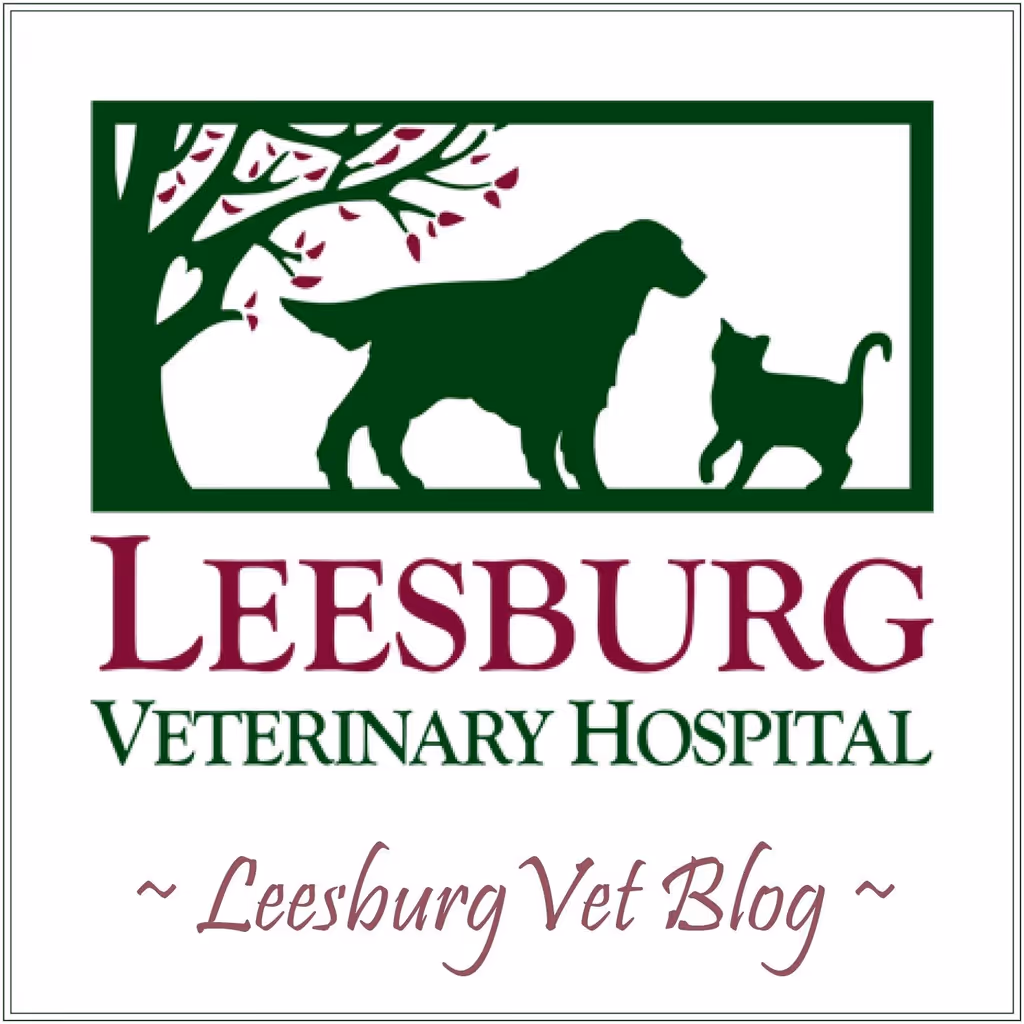 facility profile image