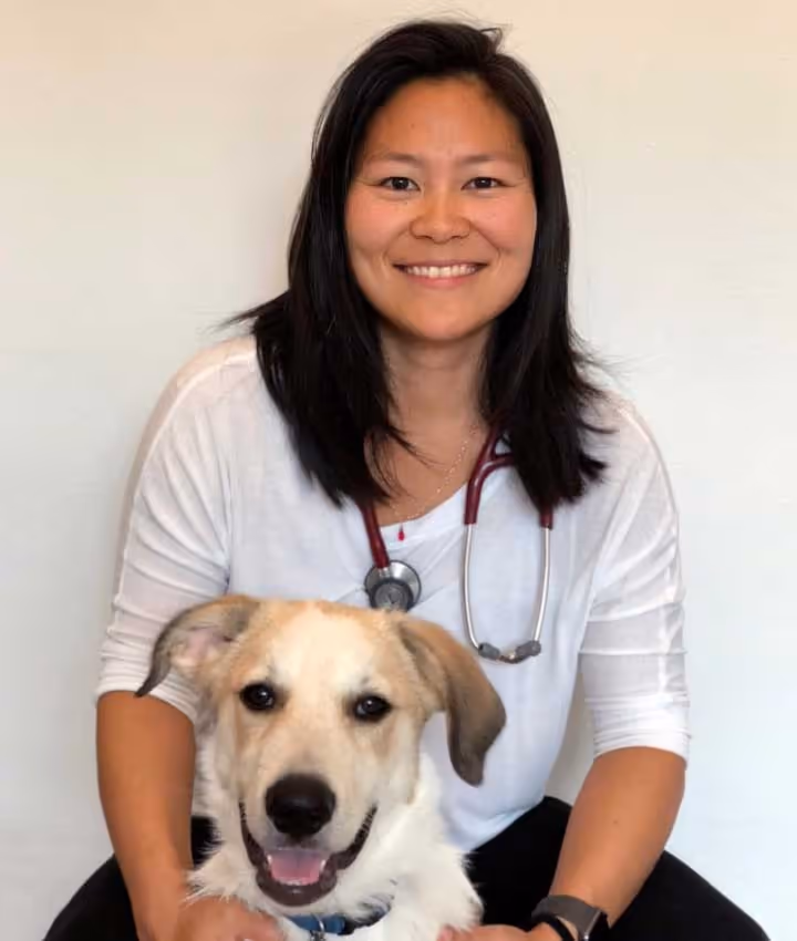 staff profile