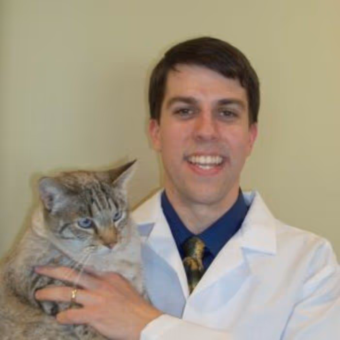 staff profile