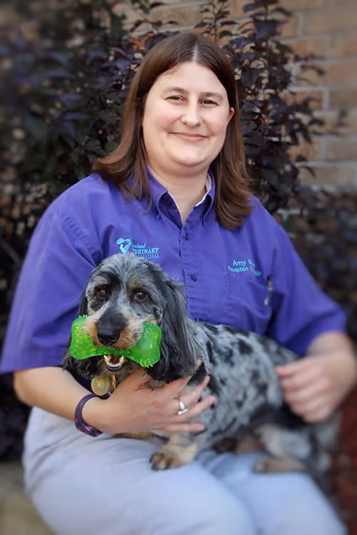 staff profile
