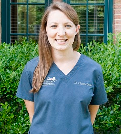 staff profile