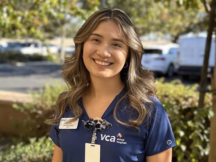 staff profile