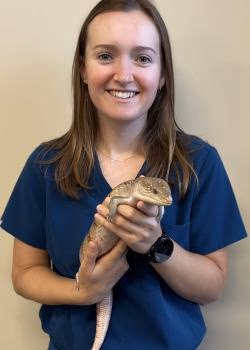 staff profile