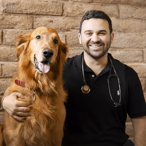 staff profile