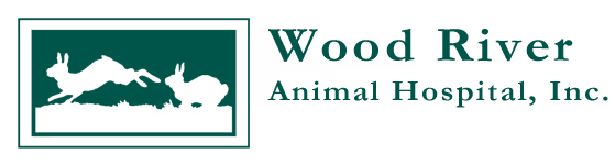 staff profile
