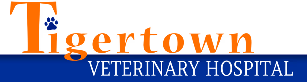 Tigertown Veterinary Hospital - Pet services facility