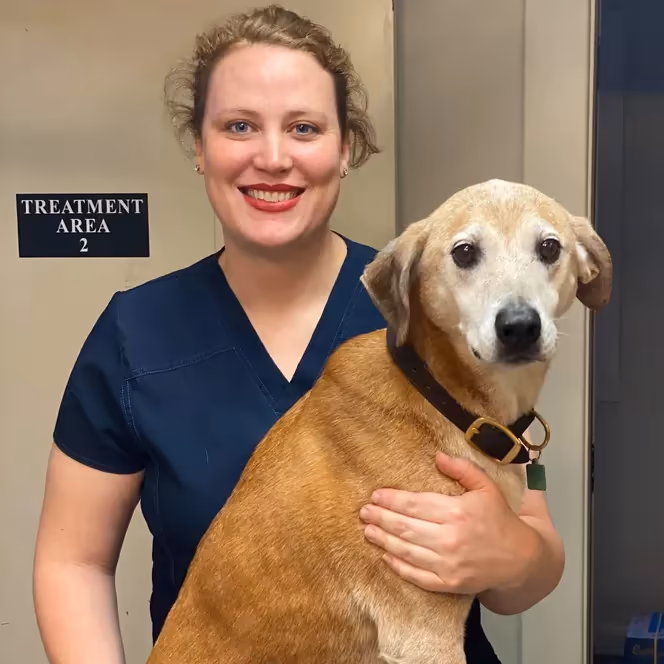 staff profile