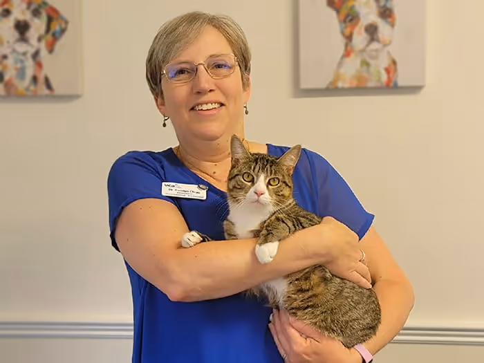 staff profile