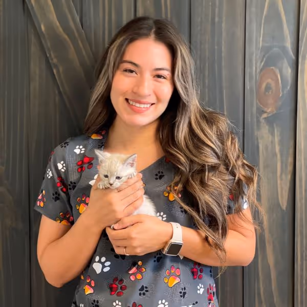 staff profile