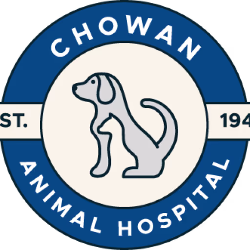 staff profile