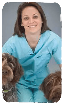 staff profile