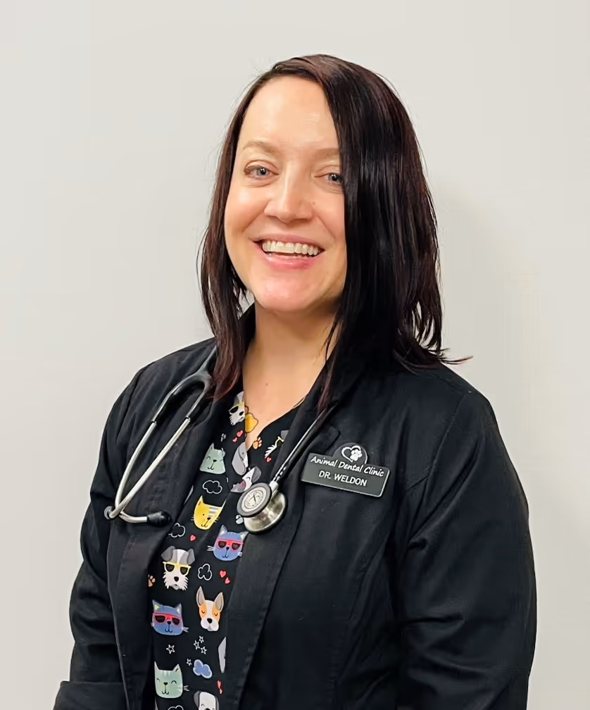 staff profile