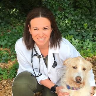 staff profile